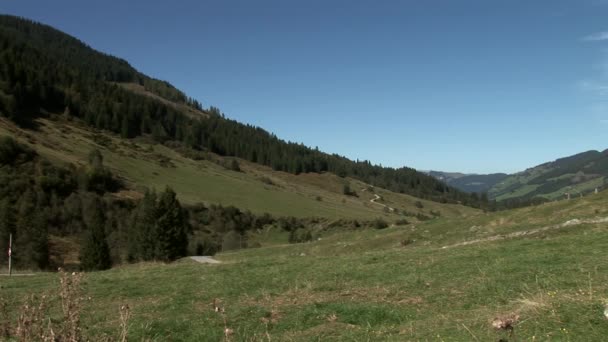 Schöne Natur in Österreich — Stockvideo