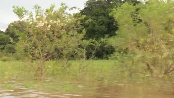 Paseo en barco por el río Amazonas — Vídeo de stock