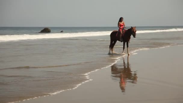 Femme chevauchant un cheval — Video