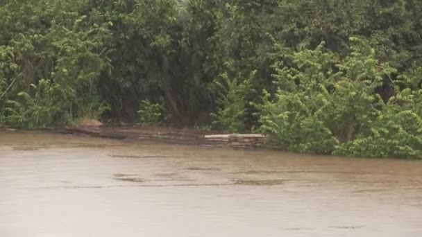 Barco en el río en días lluviosos, América del Sur — Vídeos de Stock