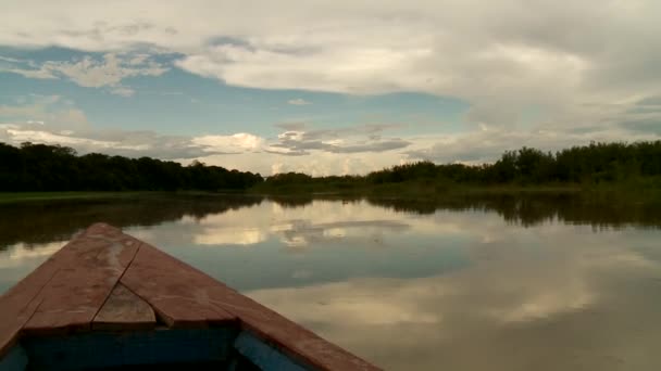 Wycieczki łodzią na rzece Amazonka — Wideo stockowe