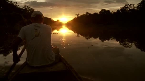Paddeling 与独木舟在亚马逊河上 — 图库视频影像