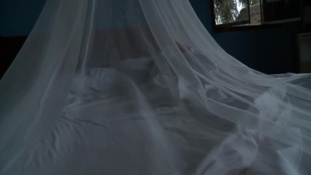 Woman Lying under Mosquito Net — Stock Video