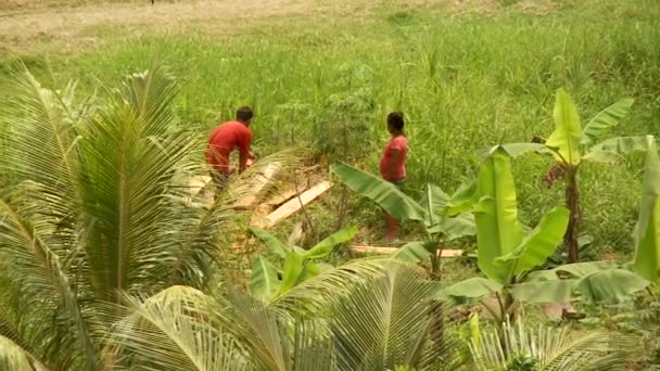Mensen die werkzaam zijn in het kleine dorp, regenwoud, Zuid-Amerika — Stockvideo