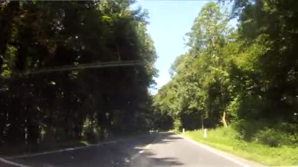 Conducción en el bosque — Vídeo de stock