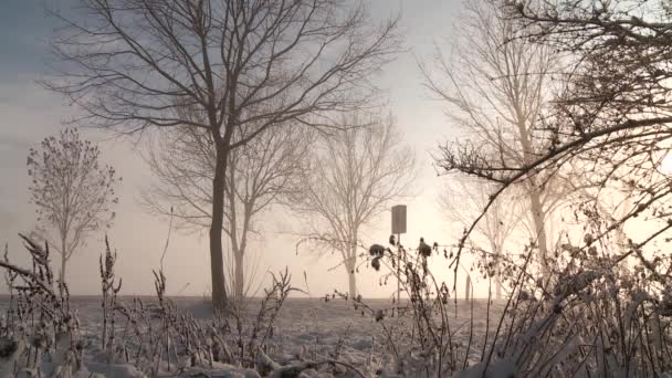 Camino en invierno — Vídeo de stock