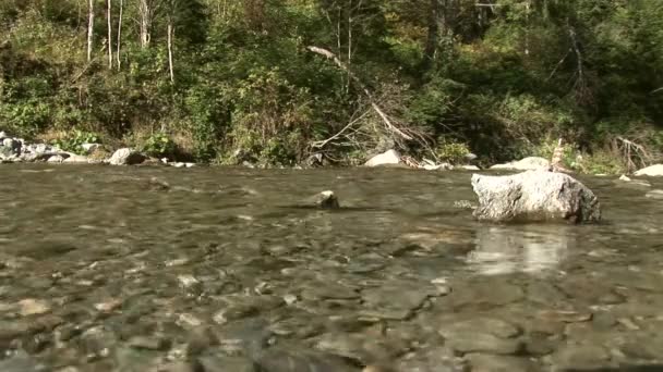 Rivière dans les Alpes autrichiennes — Video