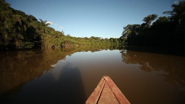 Gita in barca al Rio delle Amazzoni — Video Stock