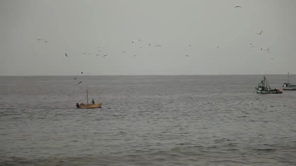 Fishing boats it the ocean, Peru — Stock Video