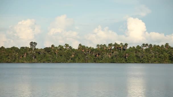 Prachtig uitzicht in de lagune, Zuid-Amerika — Stockvideo