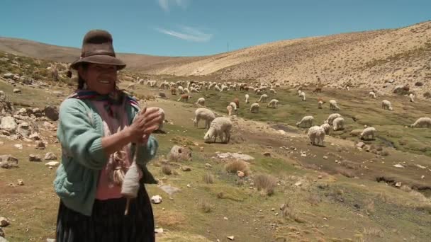 Farmer spinning yarn while sheep graze — Stock Video