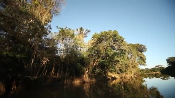 Κρουαζιέρα στον ποταμό Αμαζόνιο — Αρχείο Βίντεο