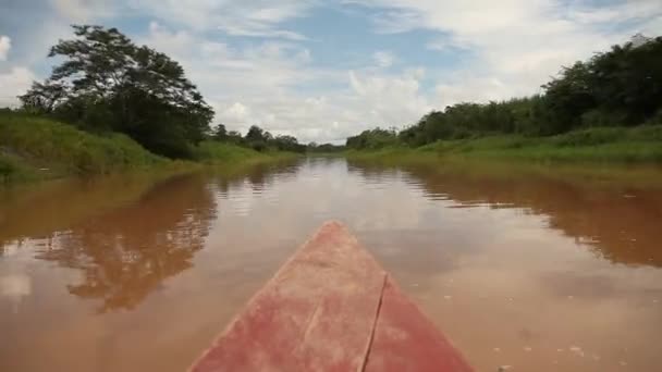 Поездка на лодке по Амазонке — стоковое видео