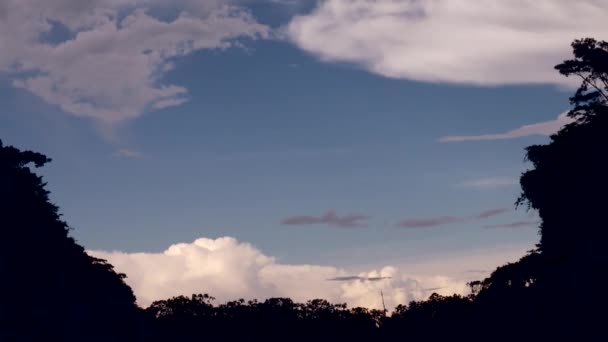 Nubes sobre árboles — Vídeo de stock