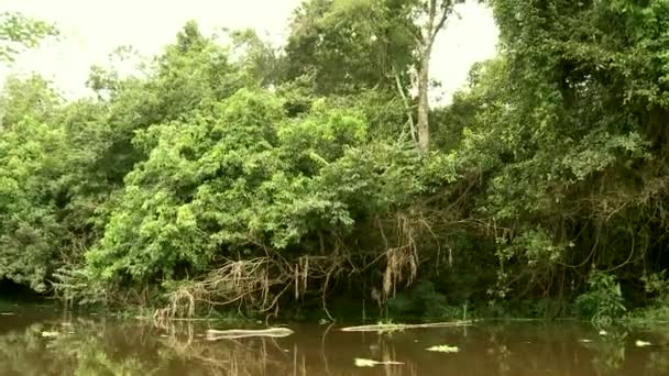 Paseo en barco por el río Amazonas — Vídeo de stock