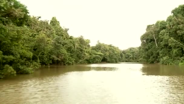 Boat trip at the Amazon river — Stock Video