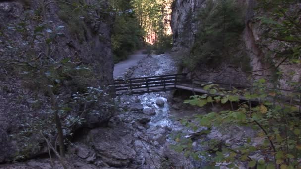 Schlucht in den Alpen, Österreich — Stockvideo