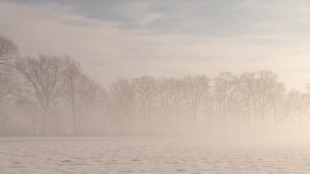 Vintern i Tyskland — Stockvideo