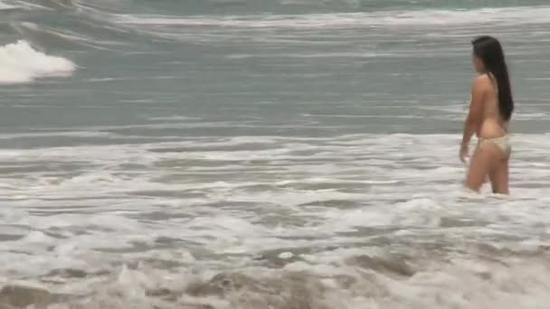 Mujer en la playa — Vídeo de stock