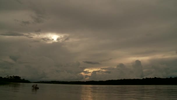 Paseo en barco por el río Amazonas — Vídeo de stock