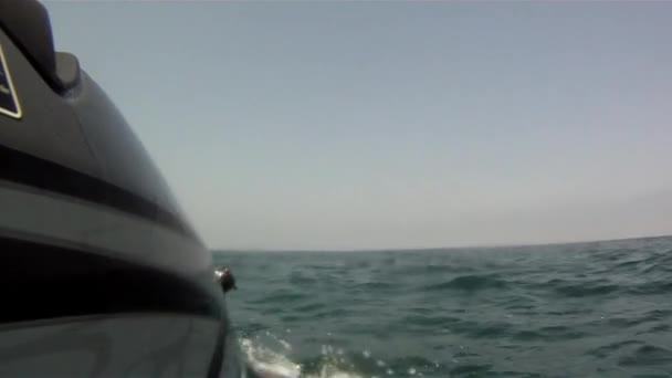 Deniz taşıtları sürüş — Stok video