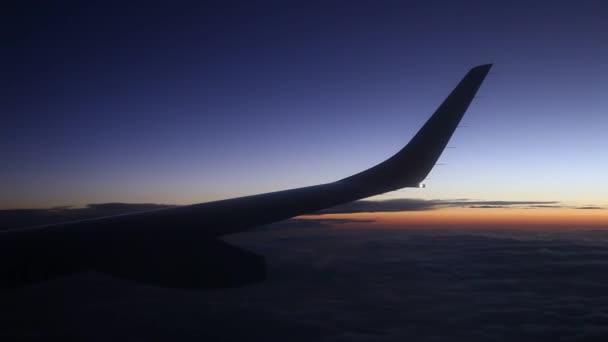 Vista desde el avión — Vídeo de stock