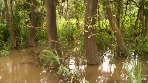 Båttur på floden Amazonas — Stockvideo