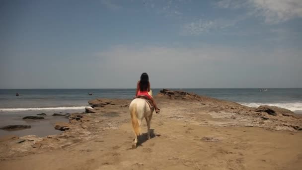 Mulher montando um cavalo — Vídeo de Stock