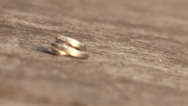 Wedding rings — Stock Video