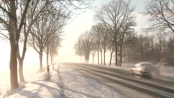 Strada in inverno — Video Stock