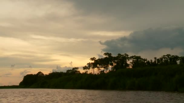Amazonfloden och solnedgång — Stockvideo