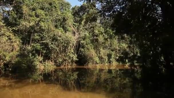 Trip on Amazon river — Stock Video
