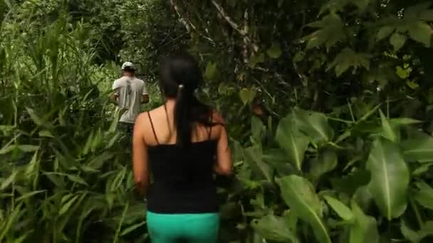 Viaje en la selva tropical, América del Sur — Vídeos de Stock