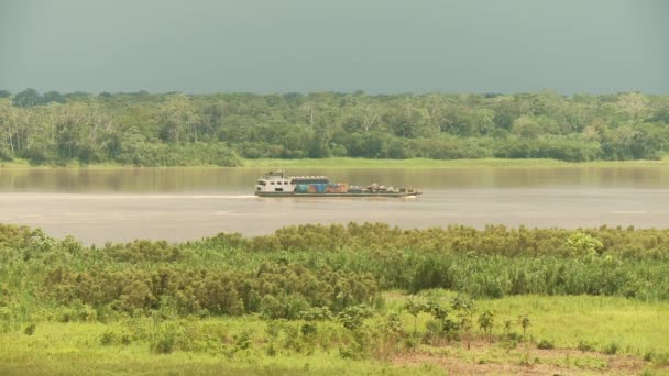 Bulkcarrier op amazon river — Stockvideo