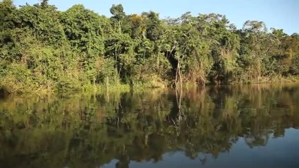 Boat trip at the Amazon river — Stock Video