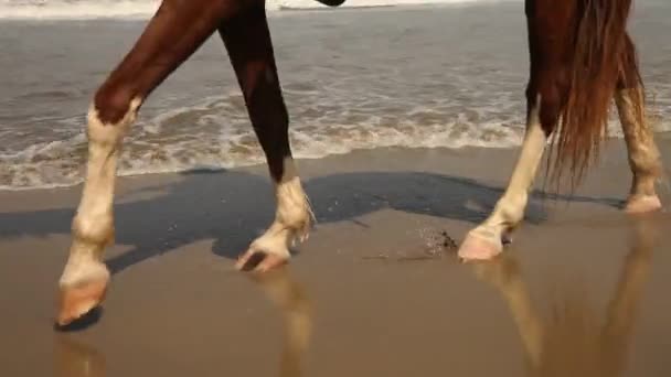 Jambes de cheval — Video