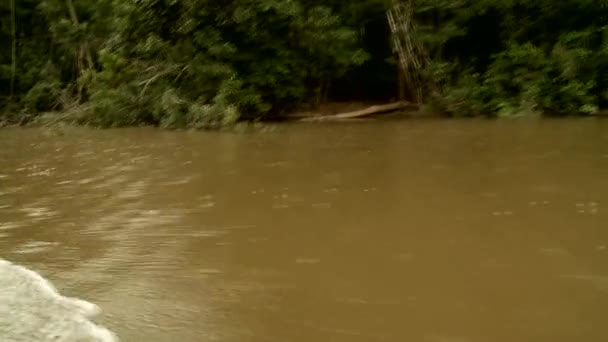 Boat trip at the Amazon river — Stock Video