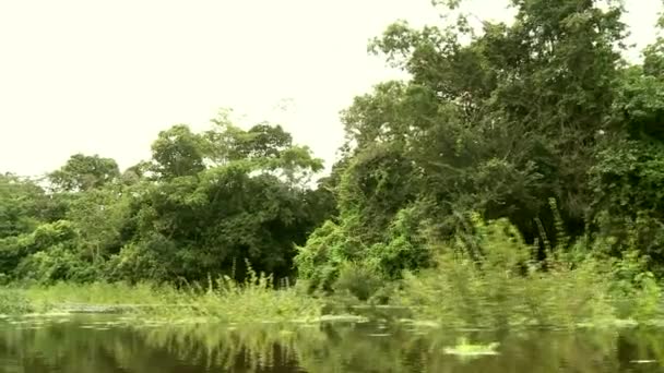 Amazon Nehri, tekne turu — Stok video