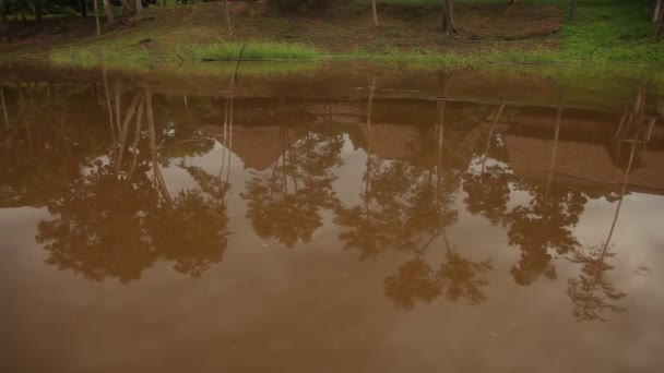 Bootsfahrt auf dem Amazonas — Stockvideo