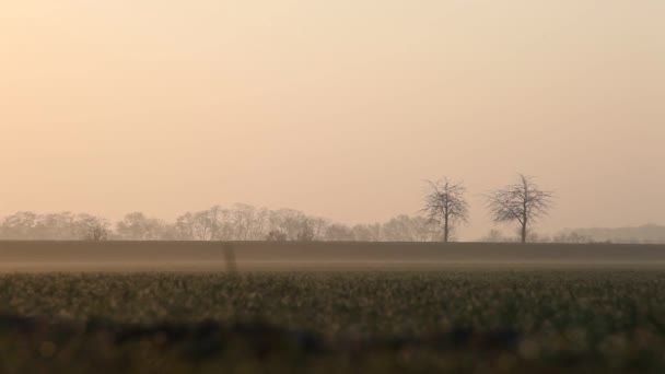 Landstraße — Stockvideo