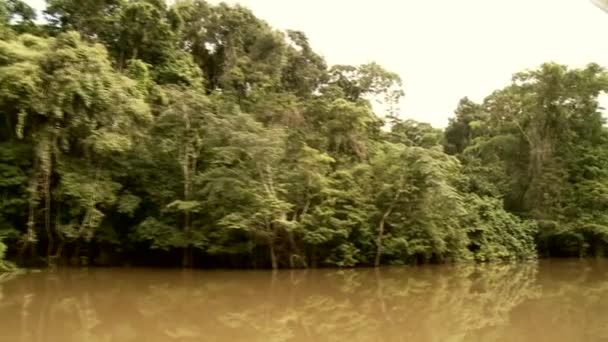 Excursion en bateau sur l'Amazone — Video