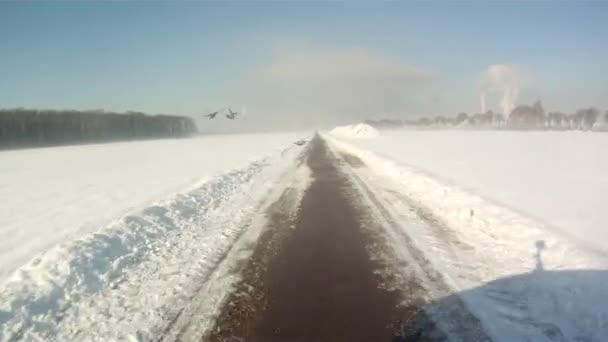 Οδήγηση στο χιόνι τοπίο — Αρχείο Βίντεο