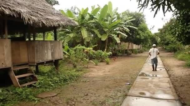 Viaje en la selva tropical, América del Sur — Vídeo de stock