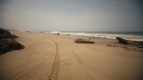 Вождение на пляже — стоковое видео