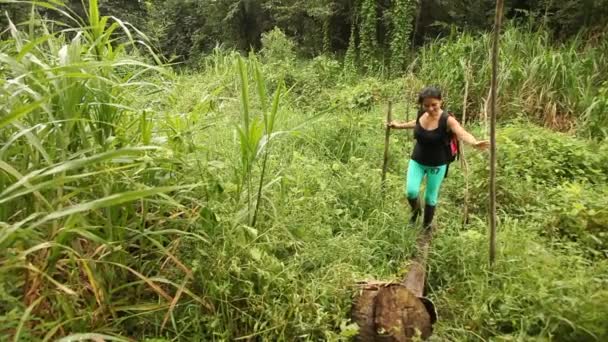 Viaje en la selva tropical, América del Sur — Vídeo de stock