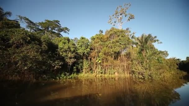 アマゾンの川にボートの旅 — ストック動画