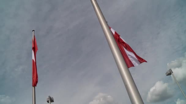 Alman ve Avusturya bayrağı — Stok video
