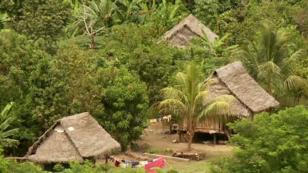 Тропічний ліс зверху — стокове відео