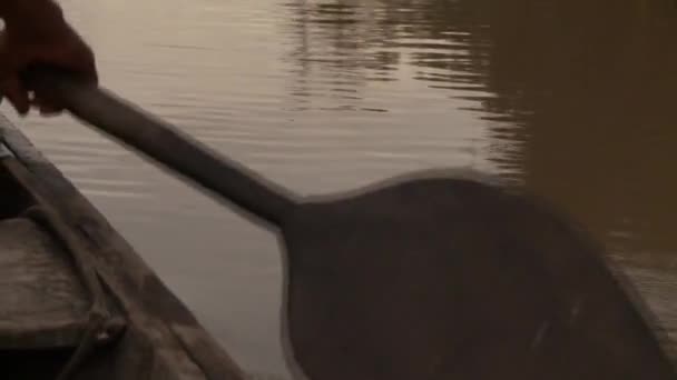 Shipping On Amazon River With Canoe — Stock Video