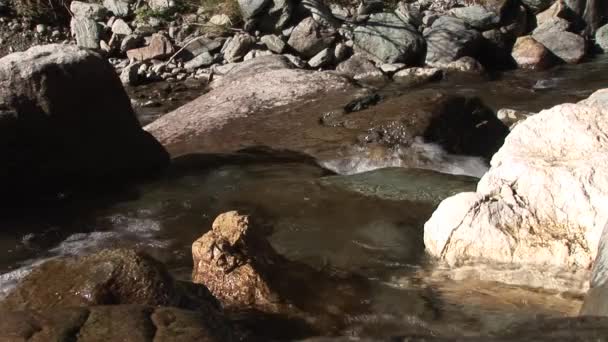 Река в Австрийских Альпах — стоковое видео